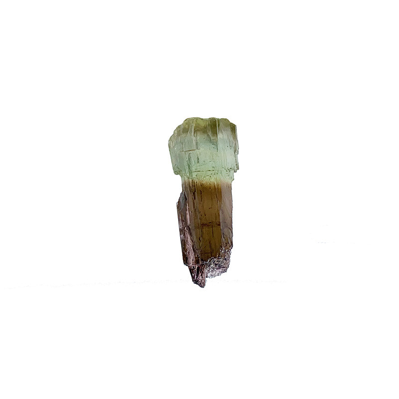 Tourmaline Bicolore sceptré - Brésil - Pièce unique - 202006_50