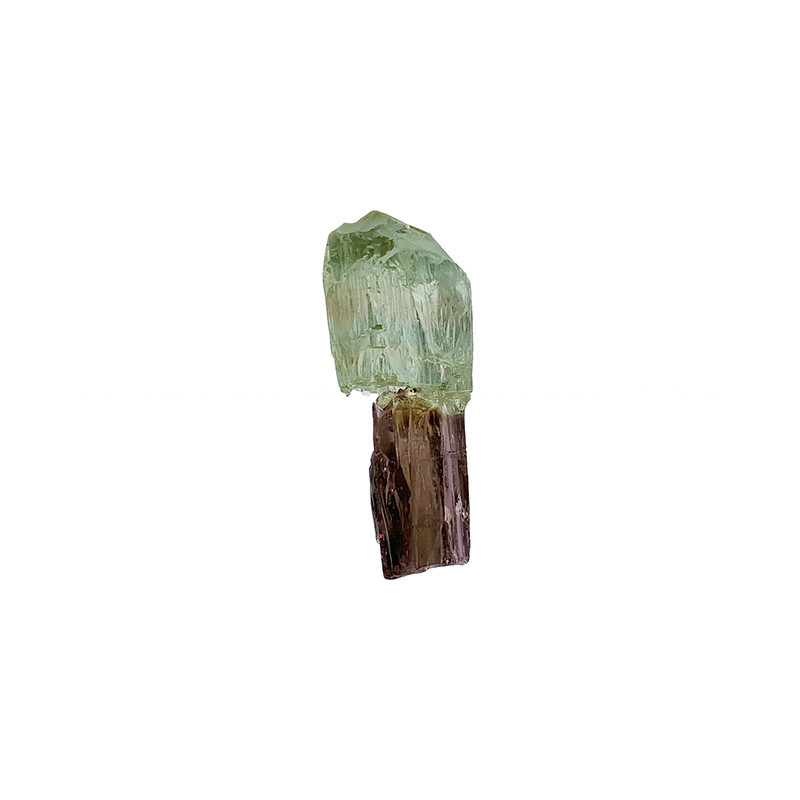 Tourmaline Bicolore sceptré - Brésil - Pièce unique - 202006_51