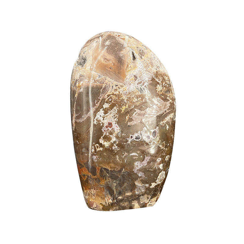 Bois fossile - forme libre - Pièce unique - 202203_118