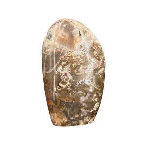 Bois fossile - forme libre - Pièce unique - 202203_118