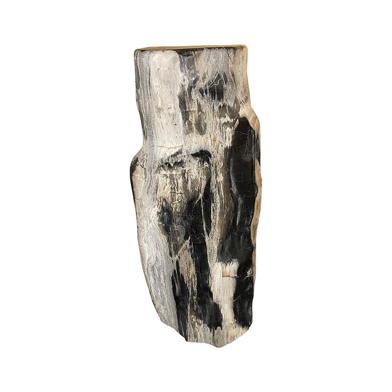 Tronc Bois fossile - Indonésie - Pièce unique - 202203_50