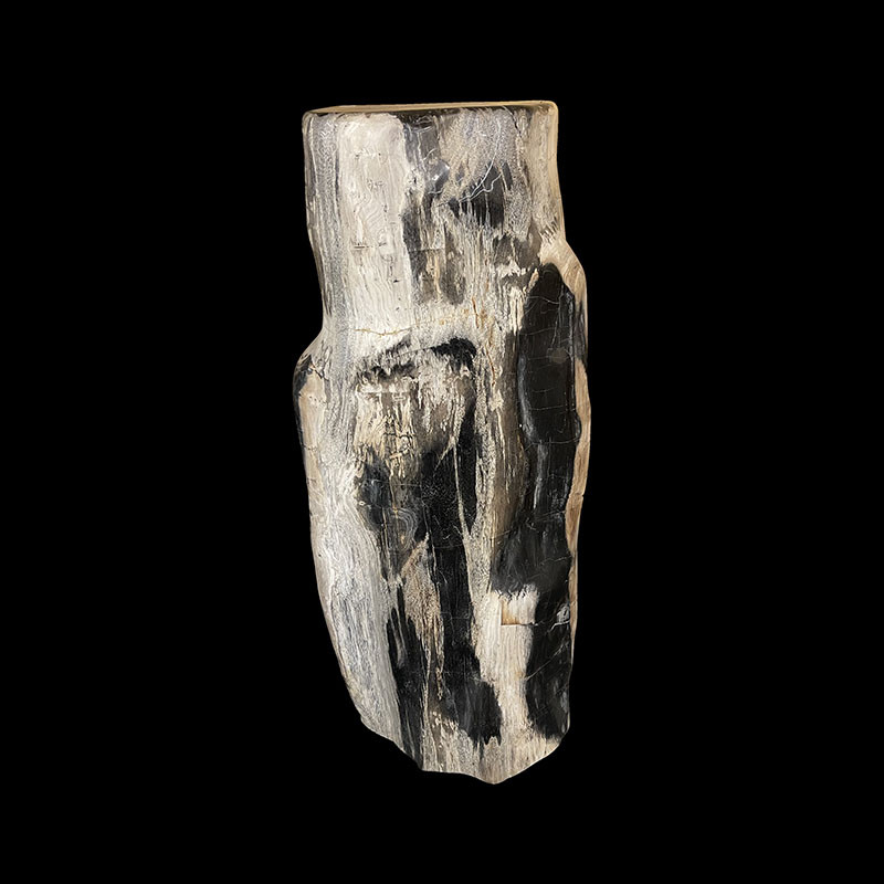 Tronc Bois fossile - Indonésie - Pièce unique - 202203_50