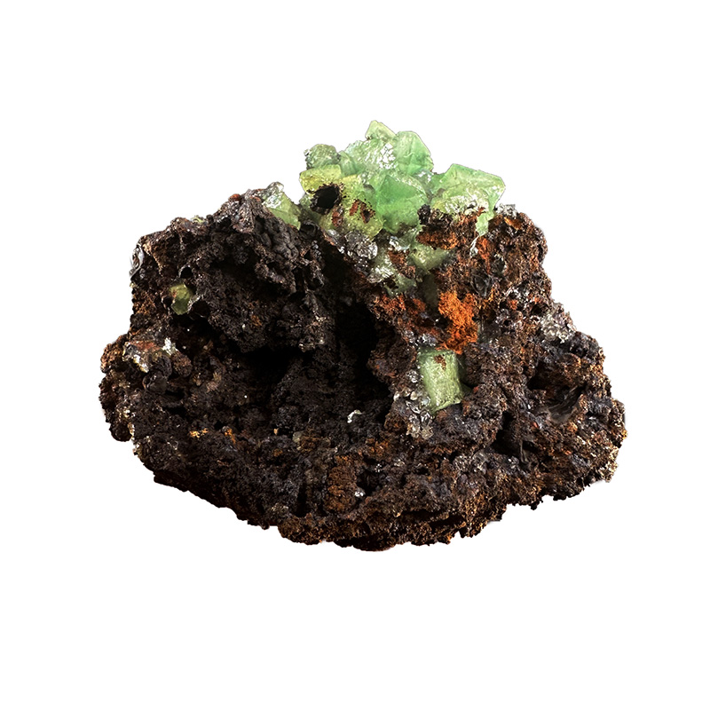 Cupro Adamite - Pièce unique - 202310_18