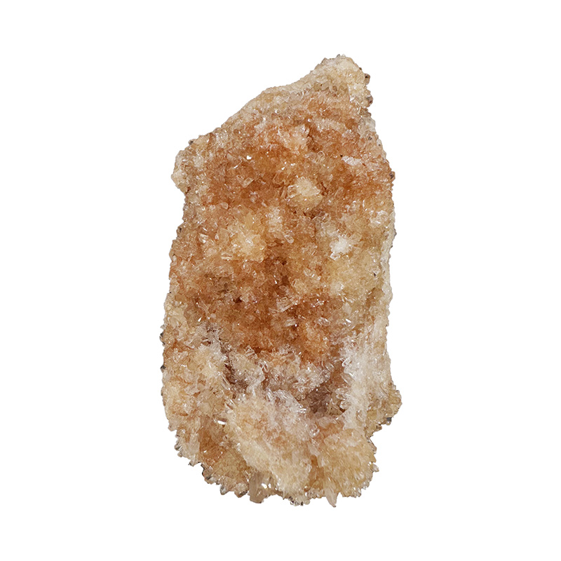 Creedite - Mexique - Pièce unique - 202409_38