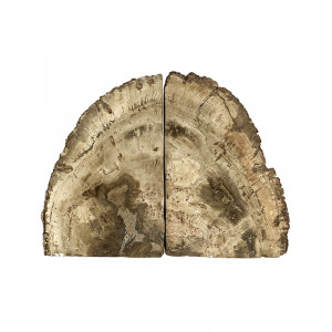 Serre livre bois fossile - Pièce unique - 202502_217