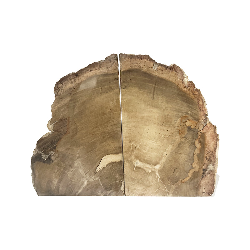 Serre livre bois fossile - Pièce unique - 202502_219