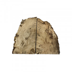 Serre livre bois fossile - Pièce unique - 202502_220