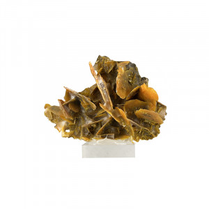 Wulfenite - Pièce unique - 202507_160
