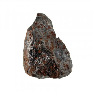 Meteorite chondrite - Pièce unique - 202509_228