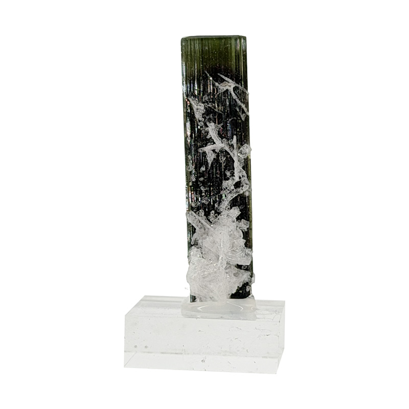 Tourmaline verte «&nbsp;green cap&nbsp;» - Pakistan - Pièce unique - 202602_64
