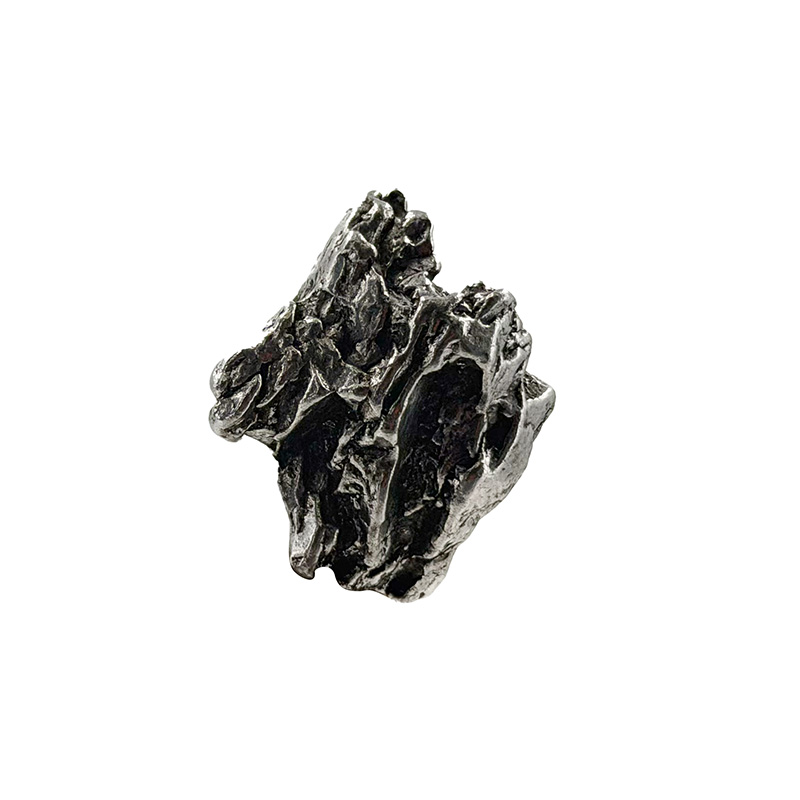 Météorite - Pièce unique - 202604_16