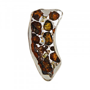 Météorite Pallasite Plaque - Pièce unique - 202608_152