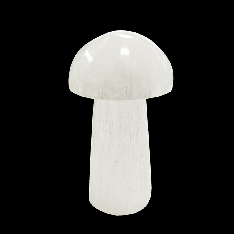 Champignon en Sélénite