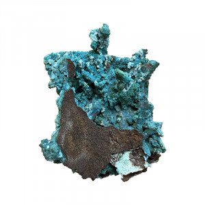 Pseudomorphose d'Azurite Chrysocolle - Congo - Pièce unique - CHRCO250