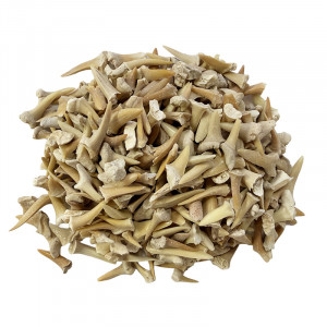 Dents de requin - Lot de 100 grs