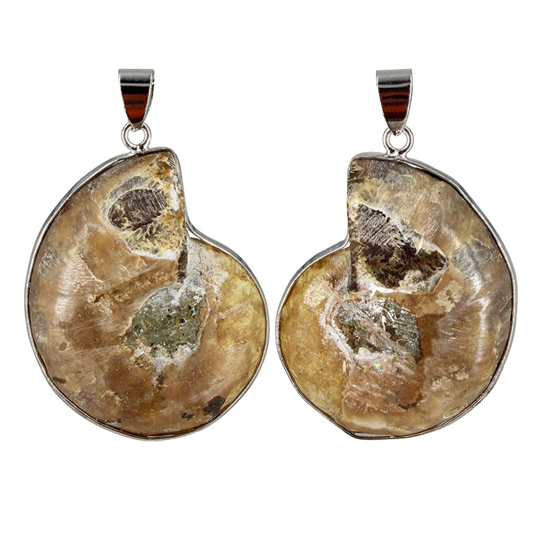 Pendentif Ammonite - La Paire