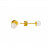 Puces d'oreilles 4 mm les 10 paires