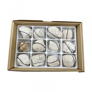 Géode de Quartz - Maroc - Lot de 12 paires