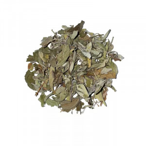Feuilles de Sauge - lot de 100 grs