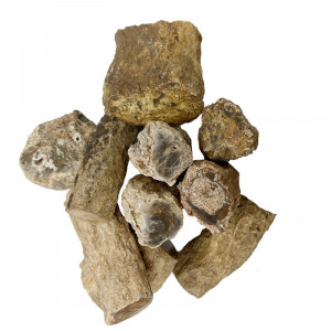 Troncs et branches bois fossile - le sachets de 1 kg