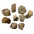 Troncs et branches bois fossile - le sachets de 1 kg