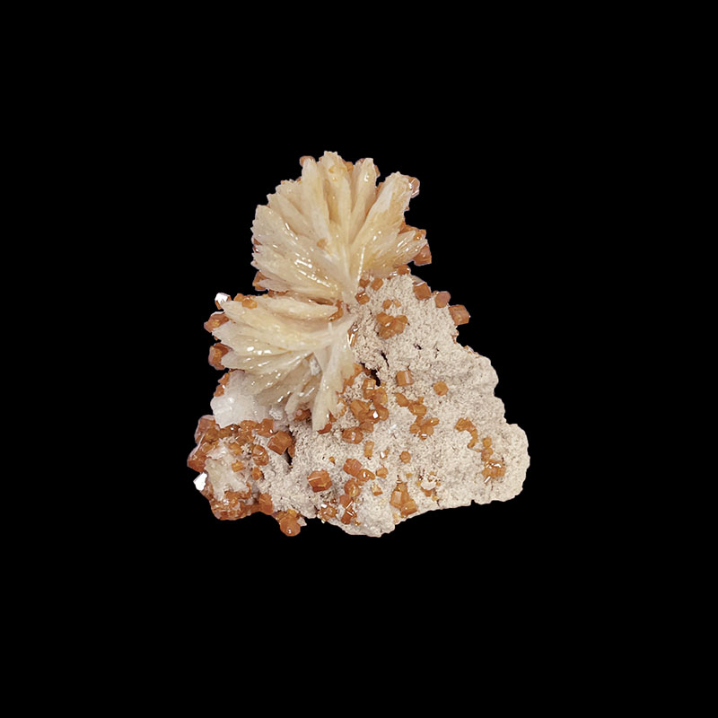 Vanadinite & Baryte - Maroc - Pièce unique - VANA60