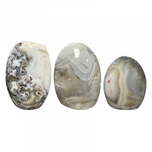 Forme libre en Agate dendritique (à dendrites)