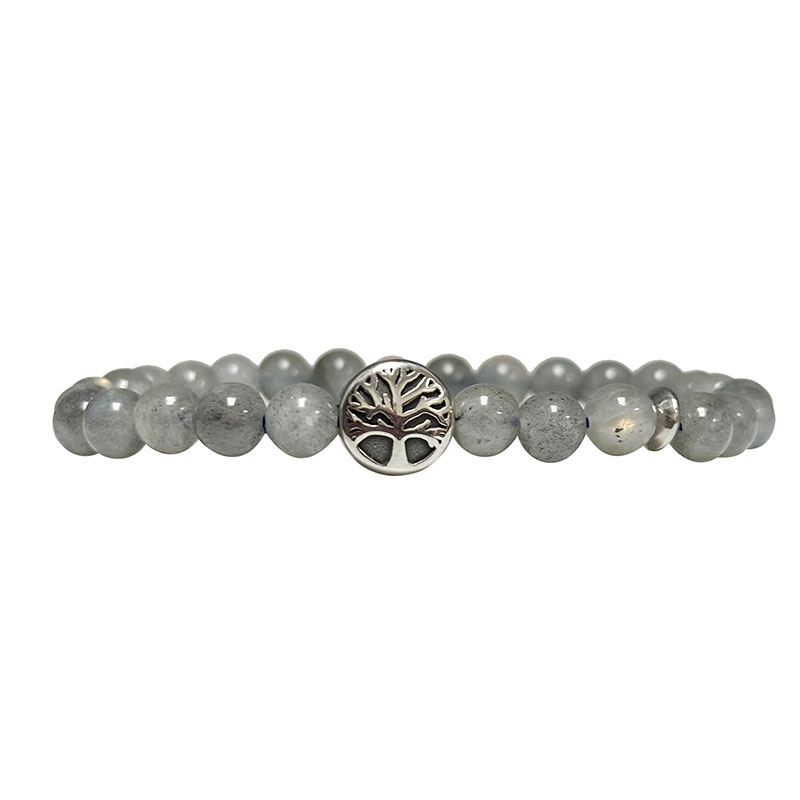 Bracelet arbre de vie et disque aplati en acier