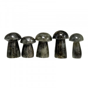 Champignon Labradorite - Lot de 5 pieces