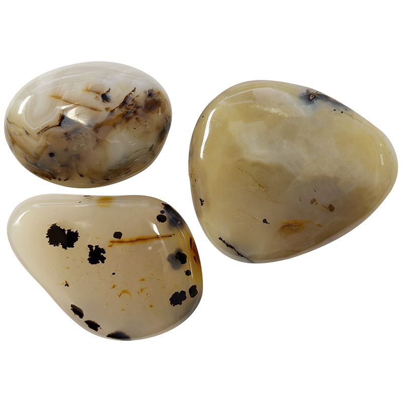 Agate dendritique (à dendrites) galet poli la pièce