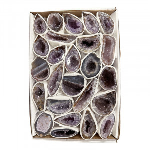 Géodinos Amethyste en single le carton 16x25cm