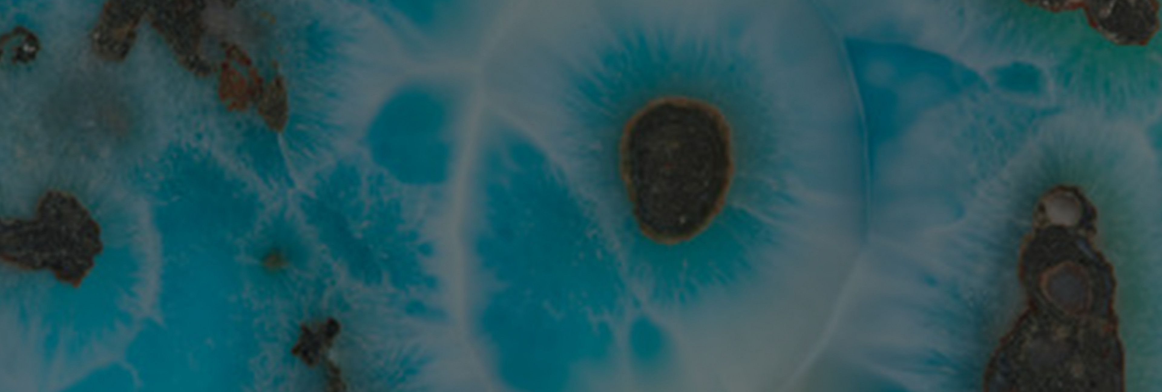 Collection Larimar
