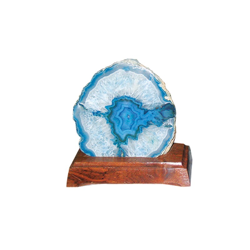 Talon d'agate teintée Base Sciee sur Socle Bois Grand Modèle