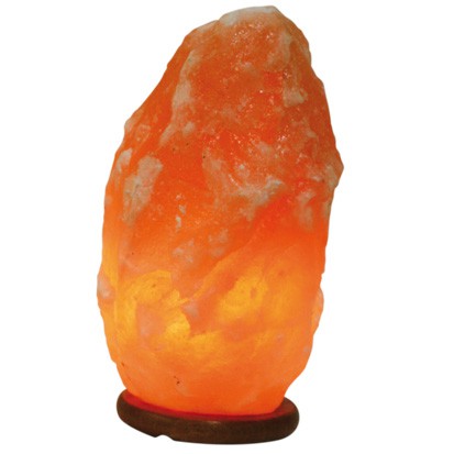 LAMPE EN SEL 10 A 18 KG