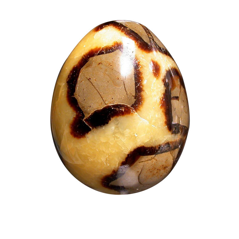 Oeuf septaria