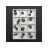 Trilobites Phacops lot de 20 pcs