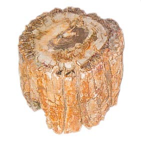 Bois Fossile Troncs +25Kg