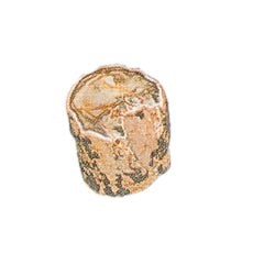 Bois Fossile Troncs 1-25Kg