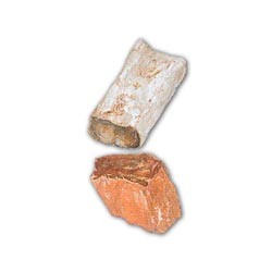 Bois Fossile Troncs moins de 1Kg
