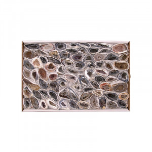 Géodinos Extra extra en Paires le carton 22X33cm