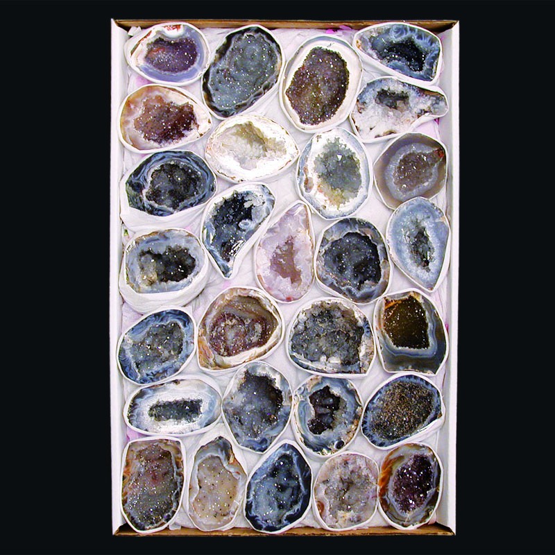 Géodinos Extra extra en Single le carton 22x33cm