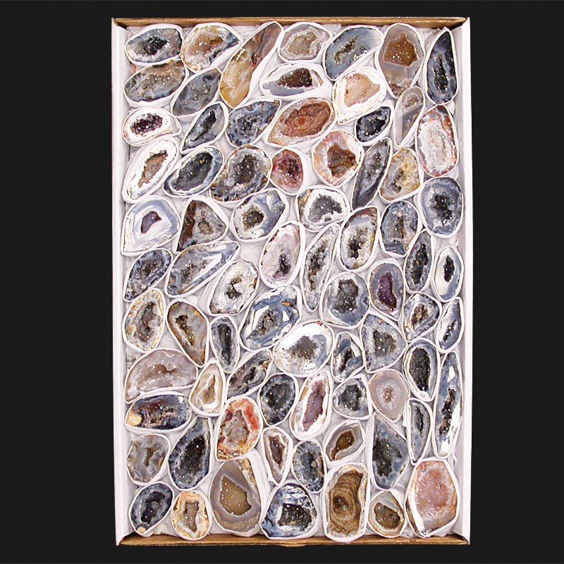 Géodinos Extra extra en Single le carton 22x33cm
