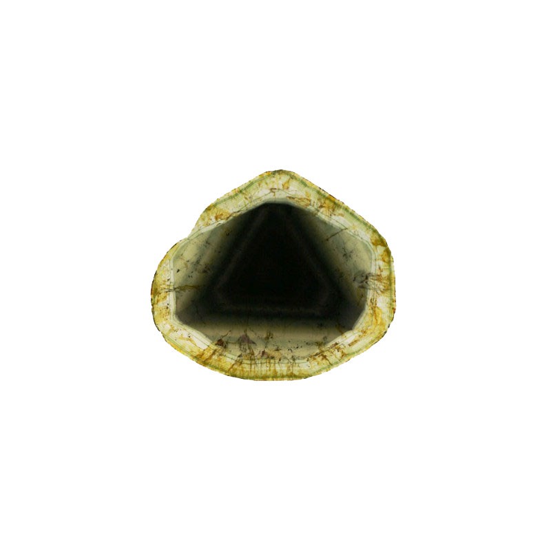 Tourmaline Liddicoatite - Pièce unique - LID23