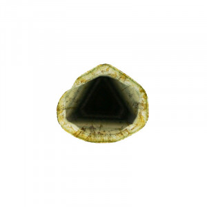 Tourmaline Liddicoatite - Pièce unique - LID23