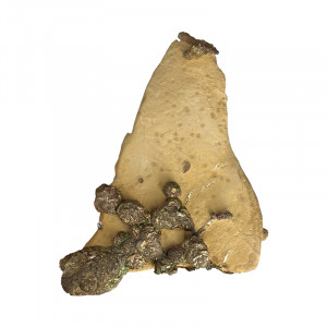 Rainbow Pyrite sur Limonite - Pièce unique - 202502_04