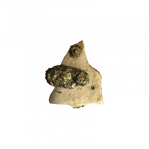 Rainbow Pyrite sur Limonite - Pièce unique - 202502_13