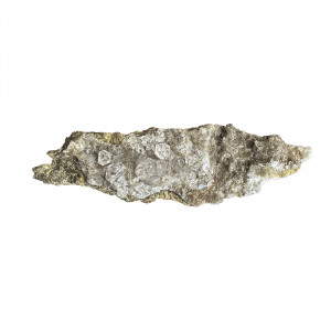 Quartz Herkimer - Pièce unique - 202502_58