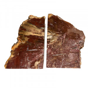 Serre livre bois fossile - Pièce unique - 202511_142