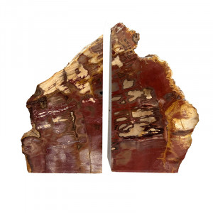 Serre livre bois fossile - Pièce unique - 202511_144