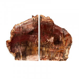 Serre livre bois fossile - Pièce unique - 202511_149